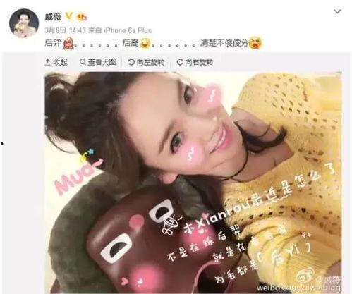 吃瓜少女调侃娱乐圈视频,吃瓜少女的欢乐调侃秀